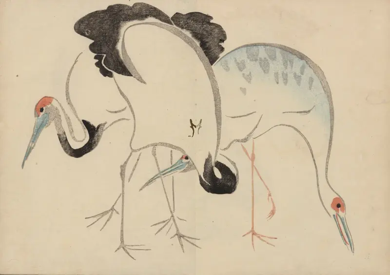 Kōrin gafu – Hōchū Taf. 13 von Ogata Kōrin