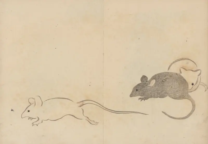 Kōrin gafu – Hōchū, obr. 24, Ogata Kōrin