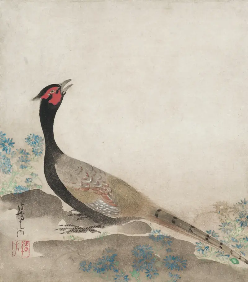 Bażant, Ogata Kōrin