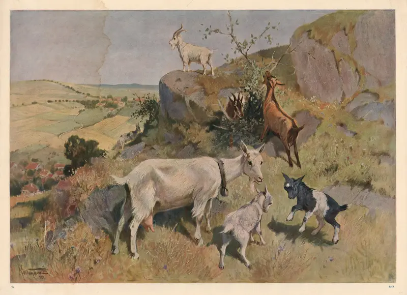 Ged, 1913, Karl Wagner
