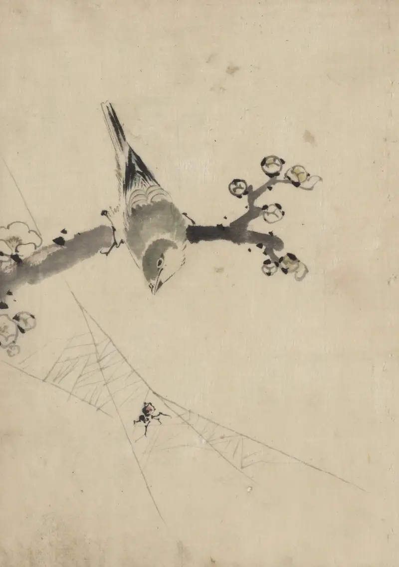 Ein Vogel auf einem blühenden Zweig, der eine Spinne im Netz beobachtet von Katsushika Hokusai
