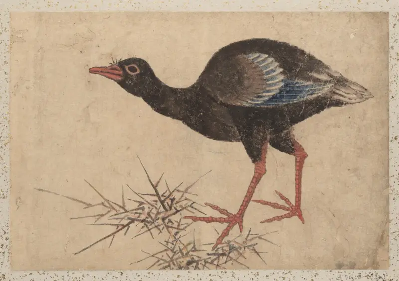 Skissalbum av Katsushika Hokusai och hans lärjungar, plansch 33 av Katsushika Hokusai