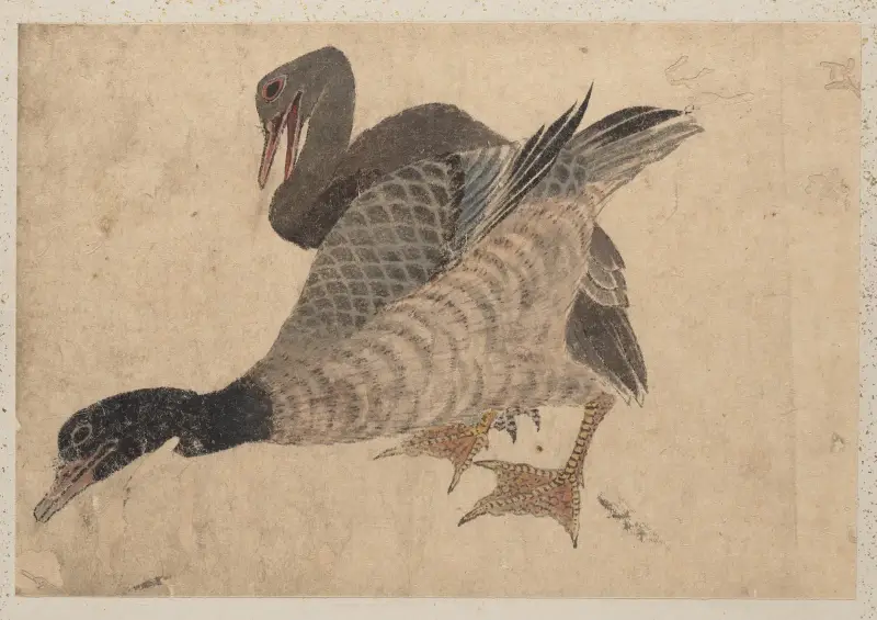 Skissalbum av Katsushika Hokusai och hans lärjungar, plansch 37 av Katsushika Hokusai