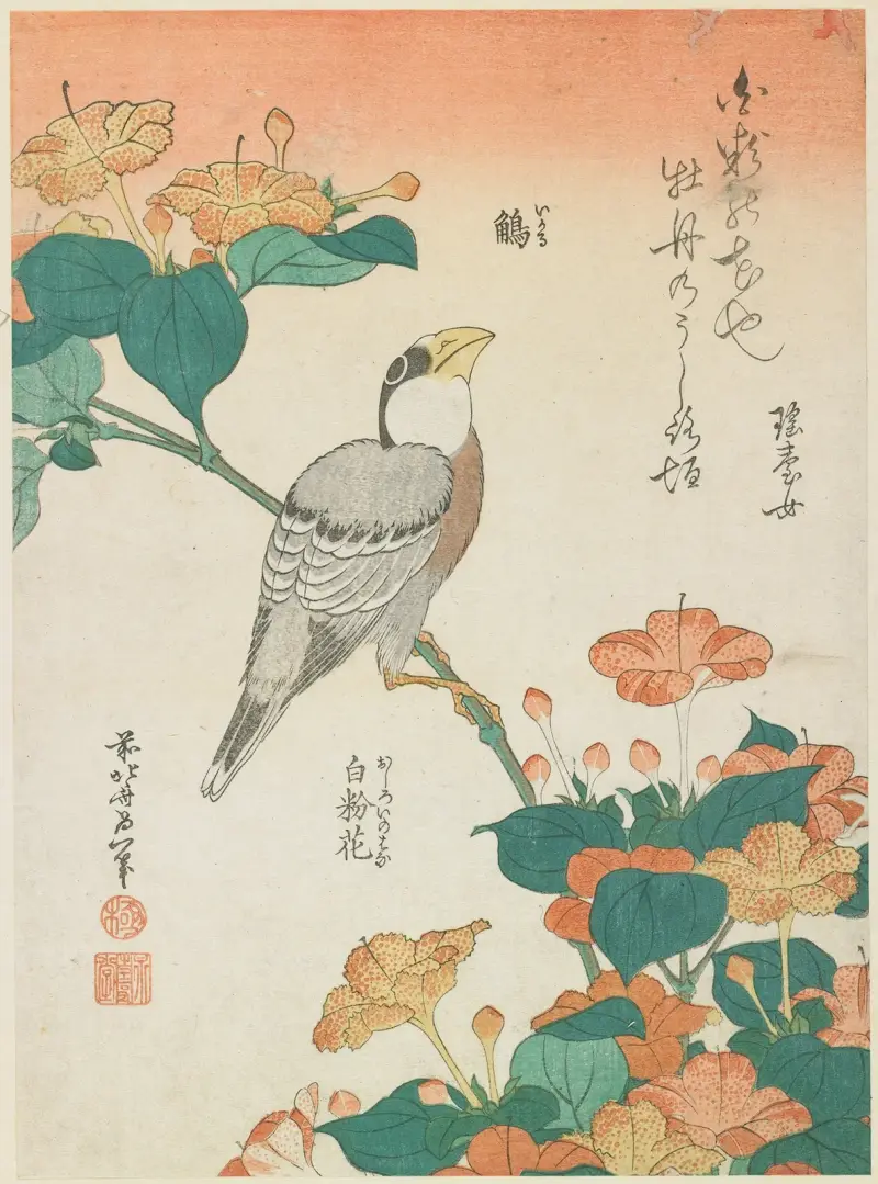 Hawfinch and Marvel-of-Peru av Katsushika Hokusai