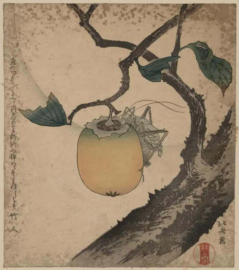 Gräshoppa på persimonträd av Katsushika Hokusai
