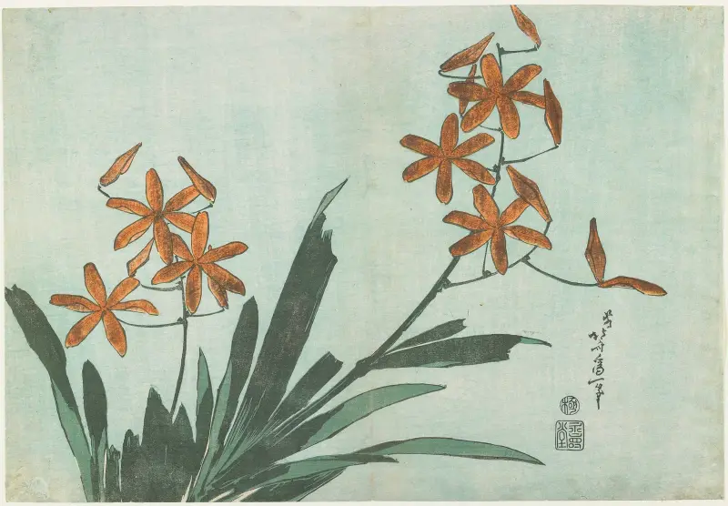Leopard Lily av Katsushika Hokusai