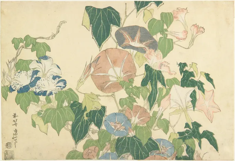 Morgonblommor och trädgroda av Katsushika Hokusai