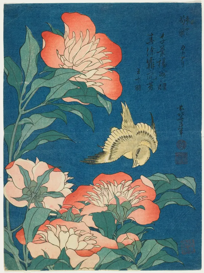 Pfingstrosen und Kanarienvogel von Katsushika Hokusai