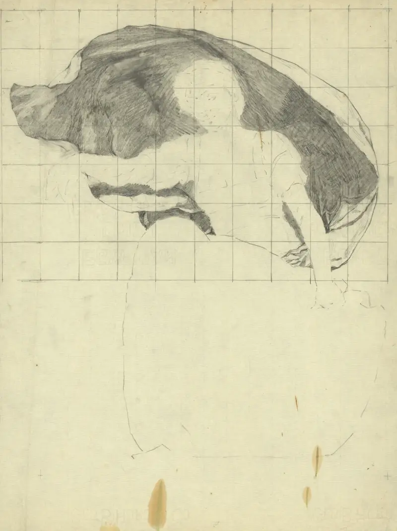 Astronomie, 1896 – Nr. 2, Kenyon Cox