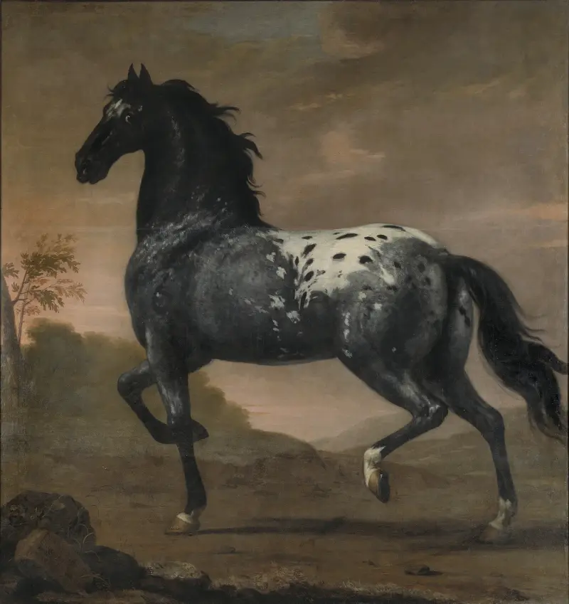Karl XI:s livhäst Blå Tigern av David Klöcker Ehrenstrahl