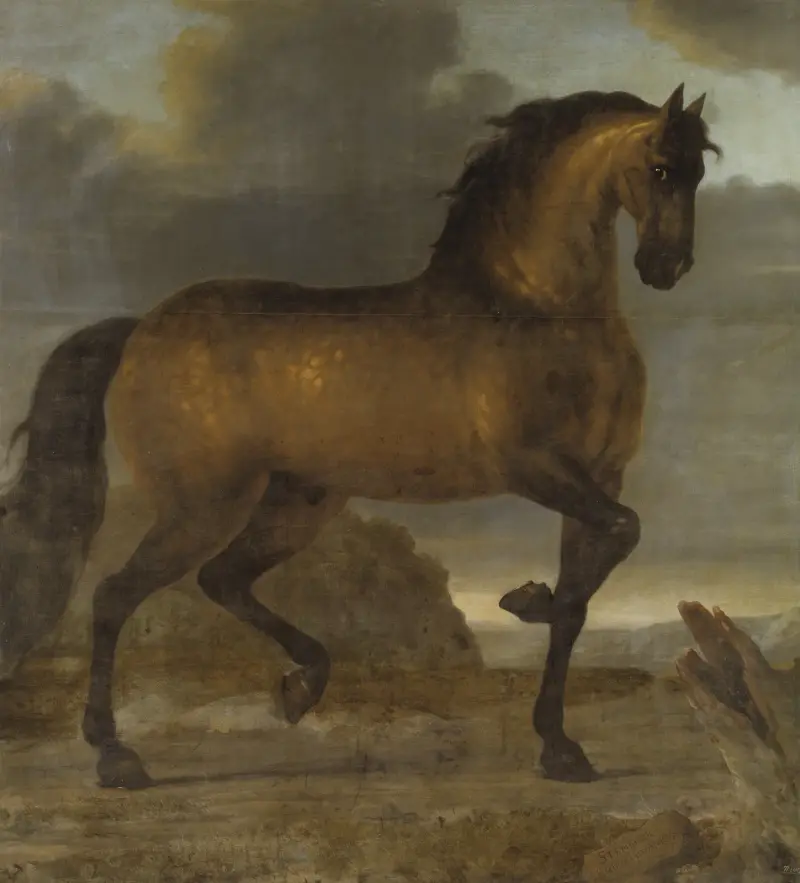 Karl XI:s livhäst Stenbock av David Klöcker Ehrenstrahl