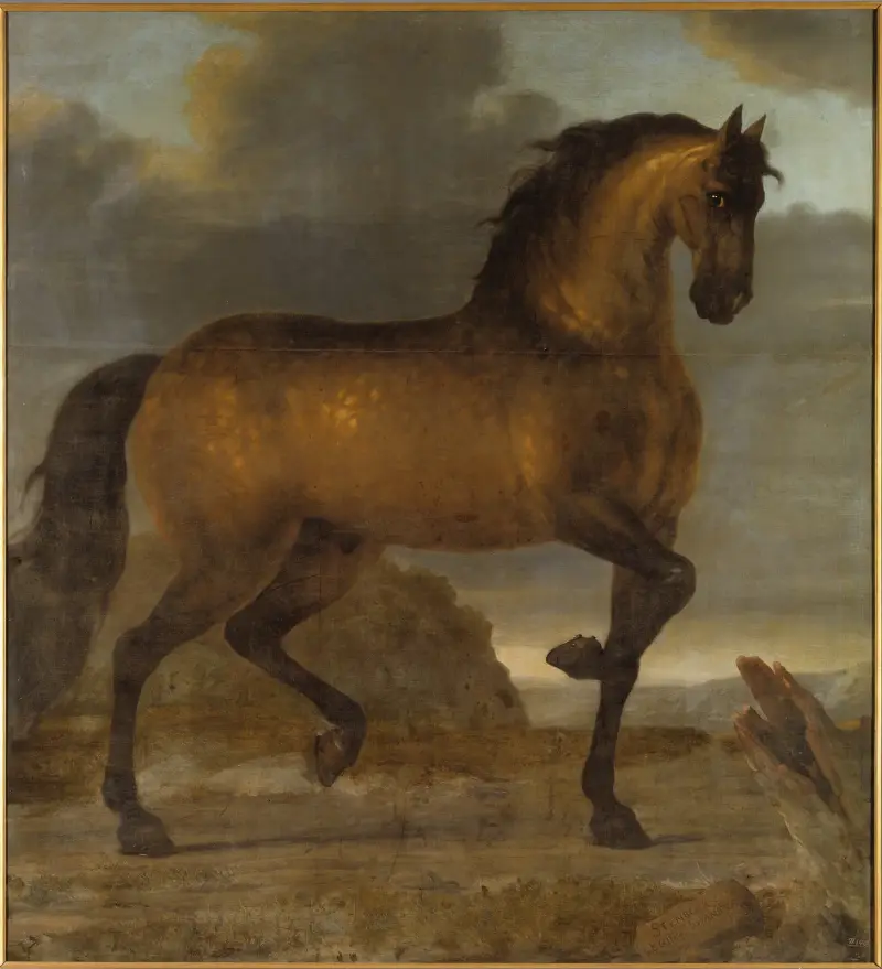 Karls XI. Leibpferd Stenbock, 1673 – Nr. 1 von David Klöcker Ehrenstrahl