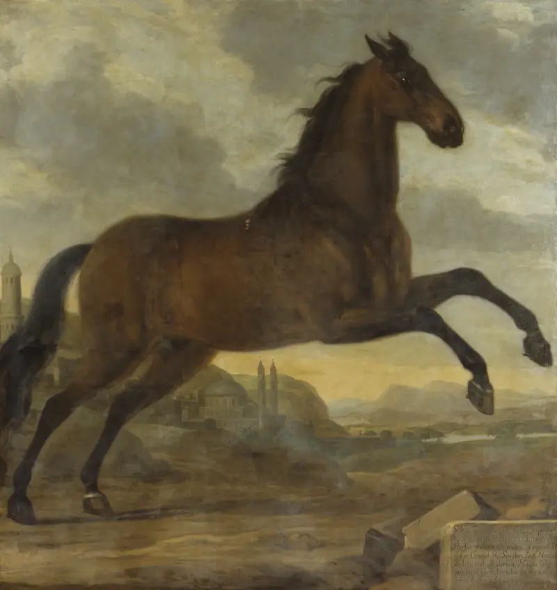 Karls XI. Leibpferd Sultan, 1689 – Nr. 2 von David Klöcker Ehrenstrahl