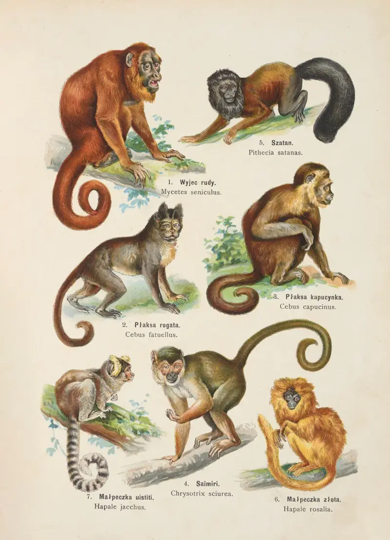 Djurrikets atlas, pl. 3 av Kurt Lampert