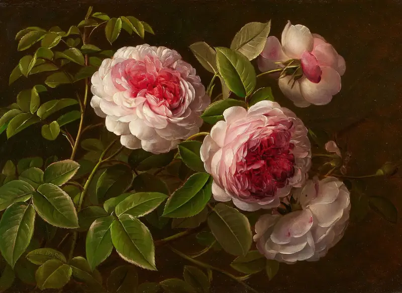 Rosafarbene Rosen av Johan Laurentz Jensen