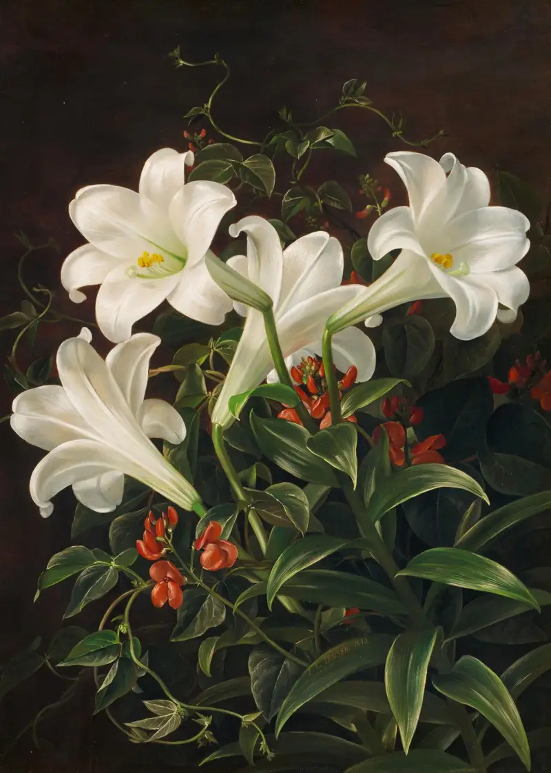 Stillleben mit weißen Lilien und blühenden Lubera-Ranken av Johan Laurentz Jensen