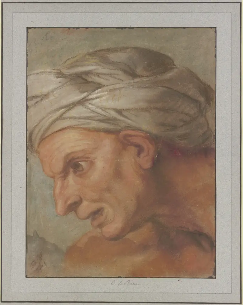 Kopf im Profil nach links aus den 'Königinnen zu Füßen Alexanders des Großen' von Charles Le Brun