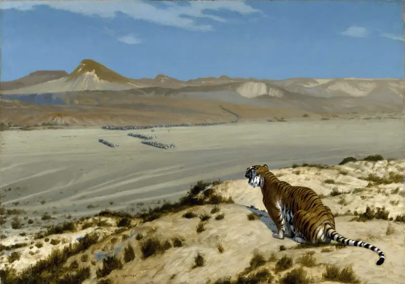 Tiger on the Watch av Jean-Léon Gérôme
