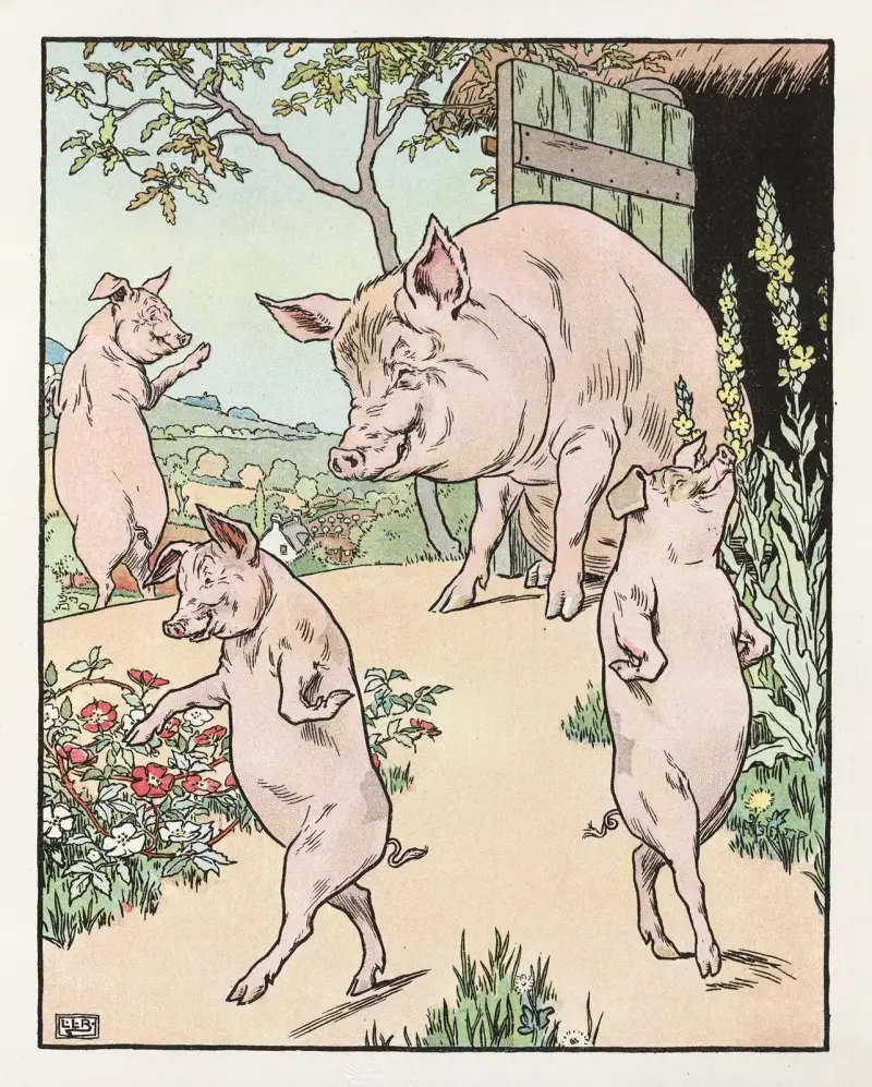 Vier Schweine von Leonard Leslie Brooke