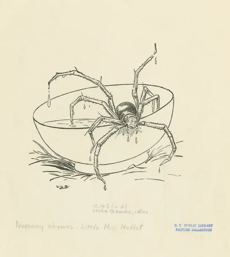 Da kam eine große Spinne von Leonard Leslie Brooke
