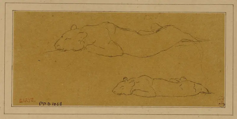 Deux études de panthère allongée av Antoine-Louis Barye