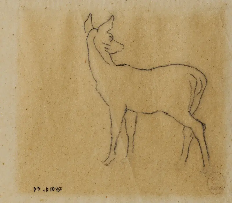 Studie gazely, Antoine-Louis Barye