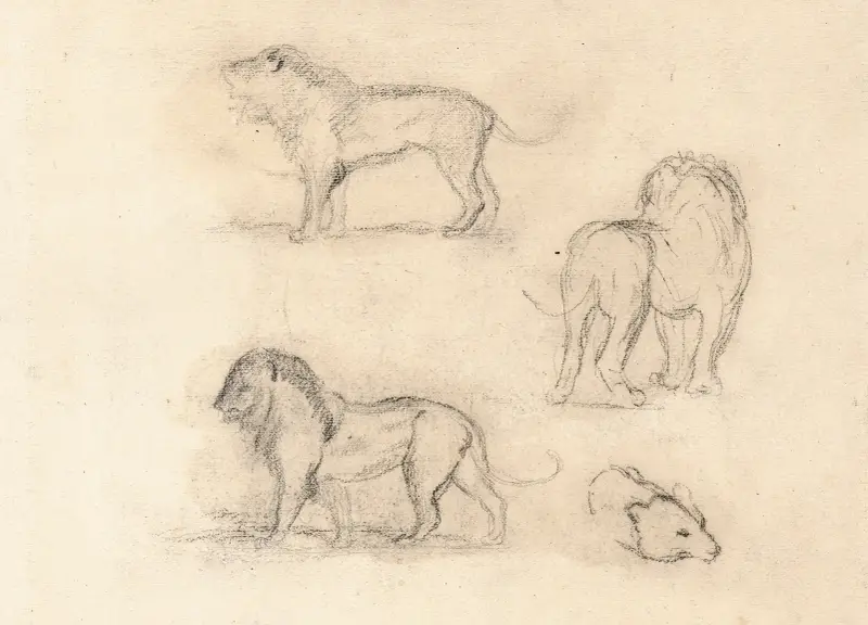 Studie av tre lejon och ett björnhuvud av Antoine-Louis Barye
