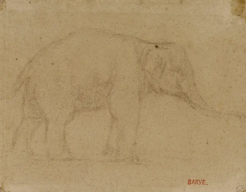 Etude d’éléphant marchant av Antoine-Louis Barye