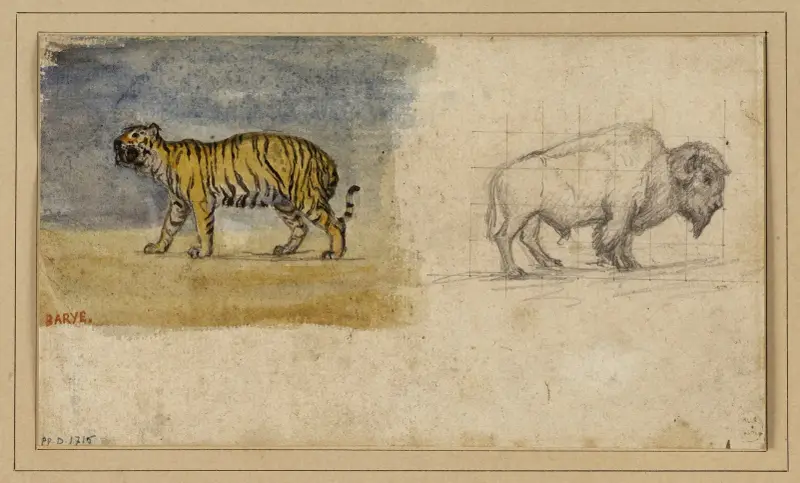 Studie av en tiger och en bison av Antoine-Louis Barye