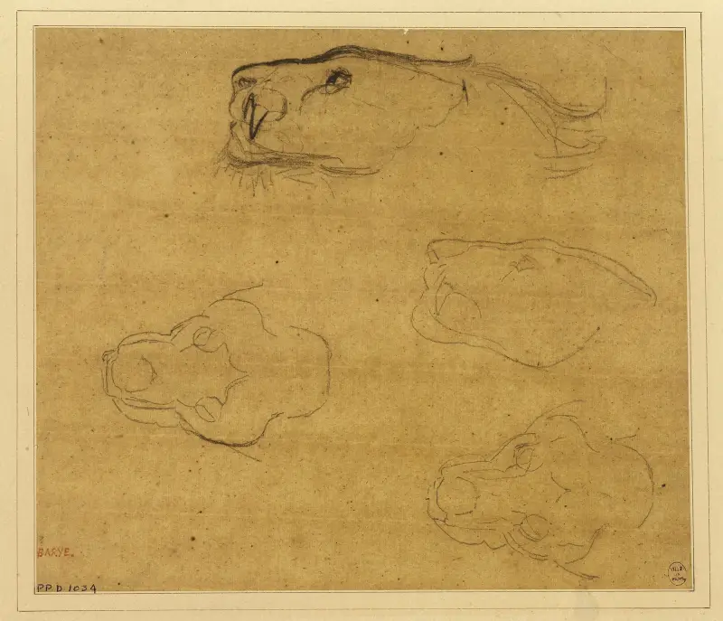 Studieblad med tigerhuvuden av Antoine-Louis Barye