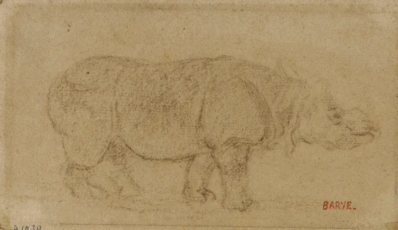 Nashorn von Antoine-Louis Barye