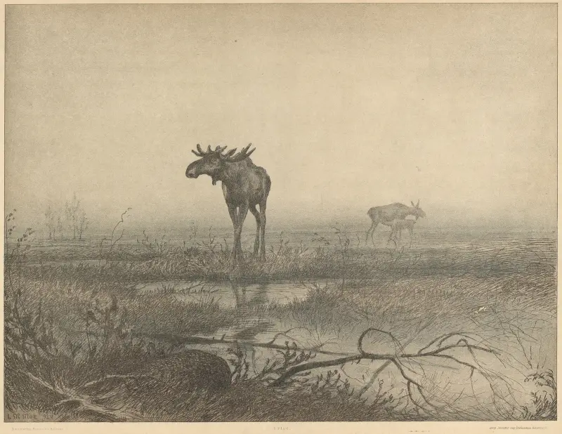 Urzeit (Prähistorisches Dänemark) von Louis Moe