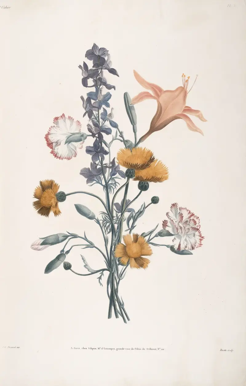 Bukett med nejlika, ambrette, riddarsporre och daglilja av Jean Louis Prévost