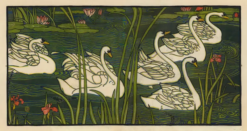 Labutě, Louis Rhead