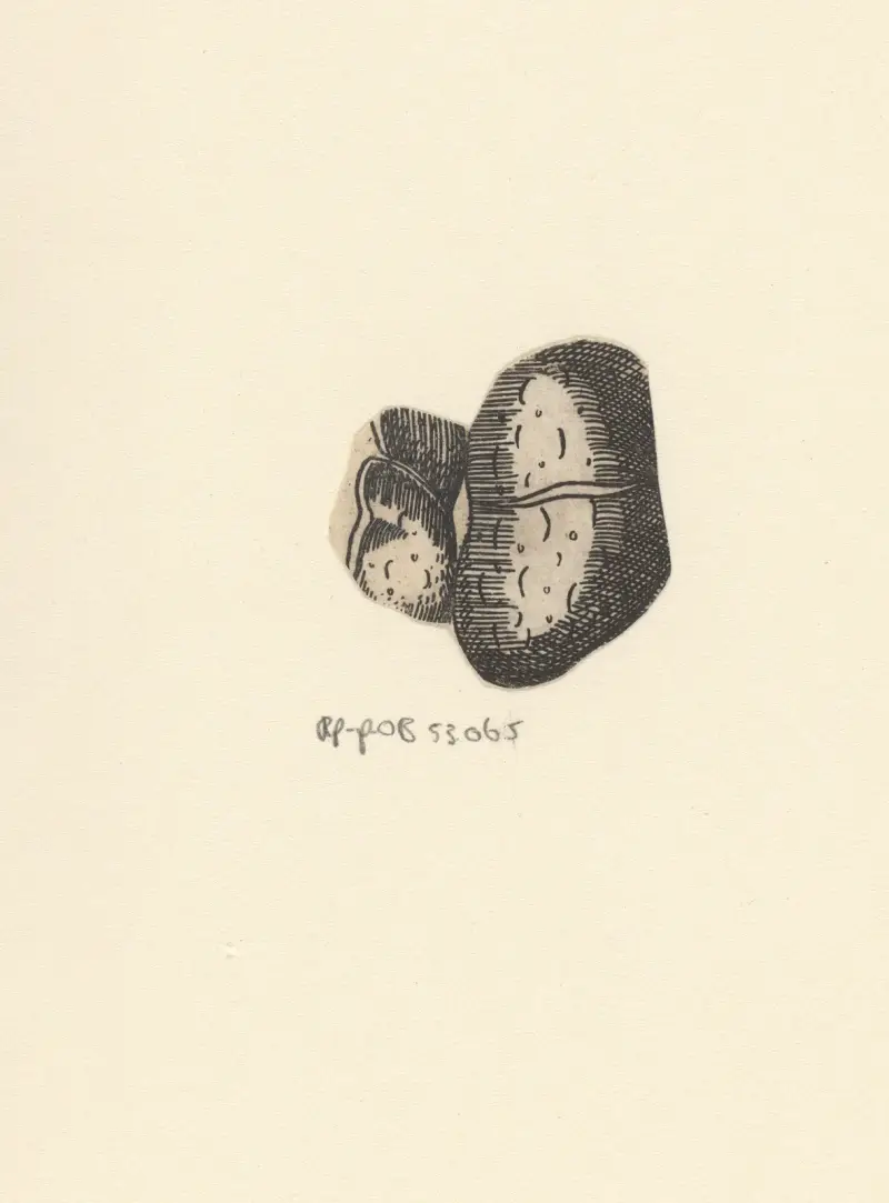 Ledviny – Nr. 1, Lucas Kilian