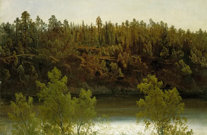 Švédské jezero. Studie, Marcus Larson