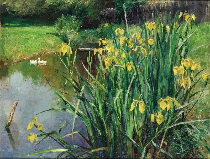 Žluté kosatce u rybníka, Marie Egner