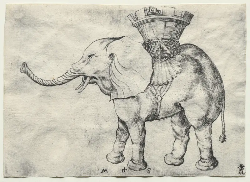 An Elephant with Howdah av Martin Schongauer