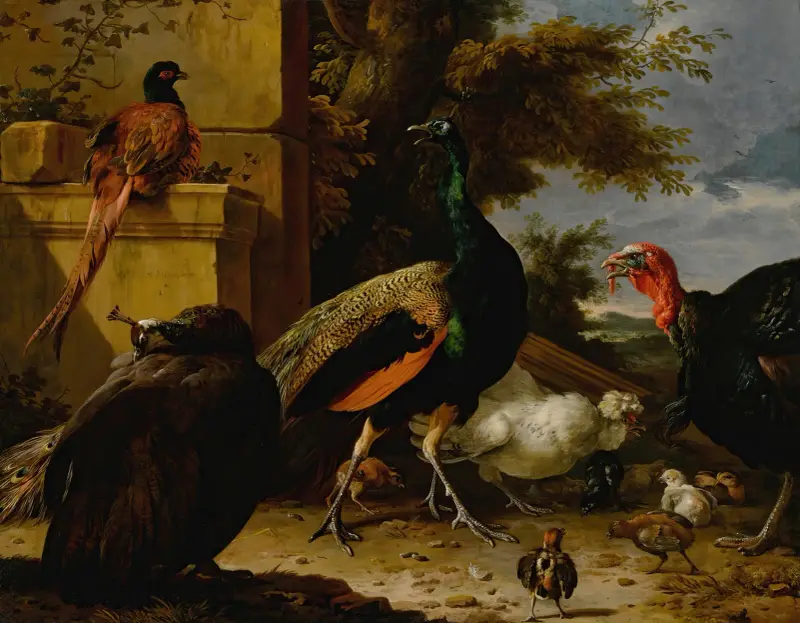 En påfågel, påfågelhöna, fasan, kalkon, tupp och kyckling vid en mur, med landskap bortom av Melchior d'Hondecoeter