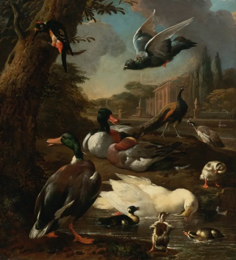 En påfågel, duva, änder och andra fåglar i en trädgård av Melchior d'Hondecoeter