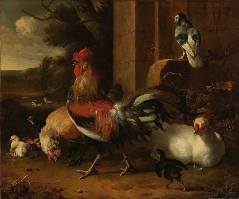 Ein Geflügelhof von Melchior d'Hondecoeter
