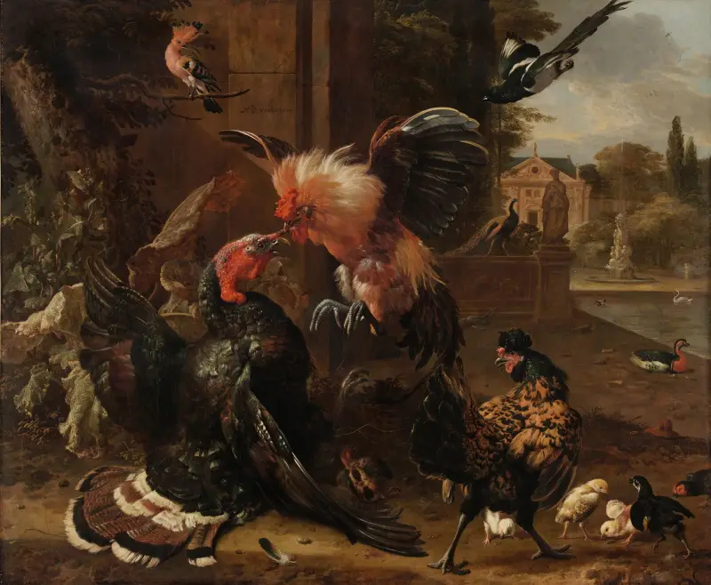 Kampf zwischen Hahn und Truthahn von Melchior d'Hondecoeter