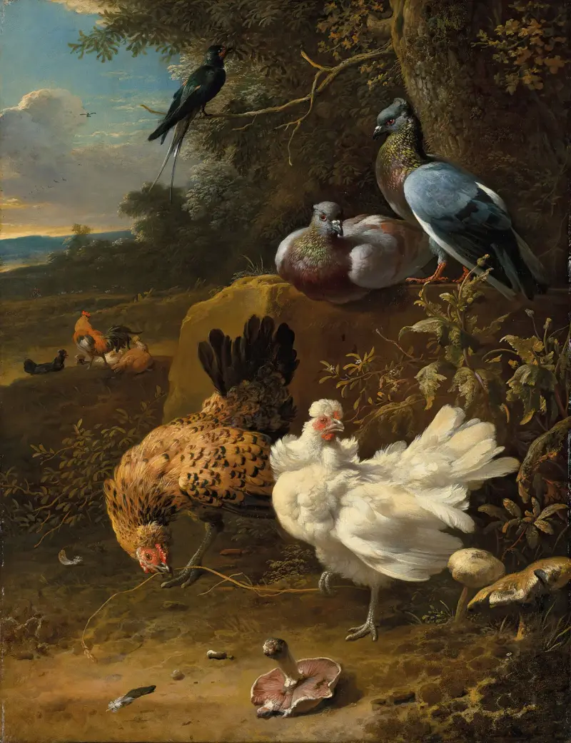 Höns och duvor i ett landskap av Melchior d'Hondecoeter
