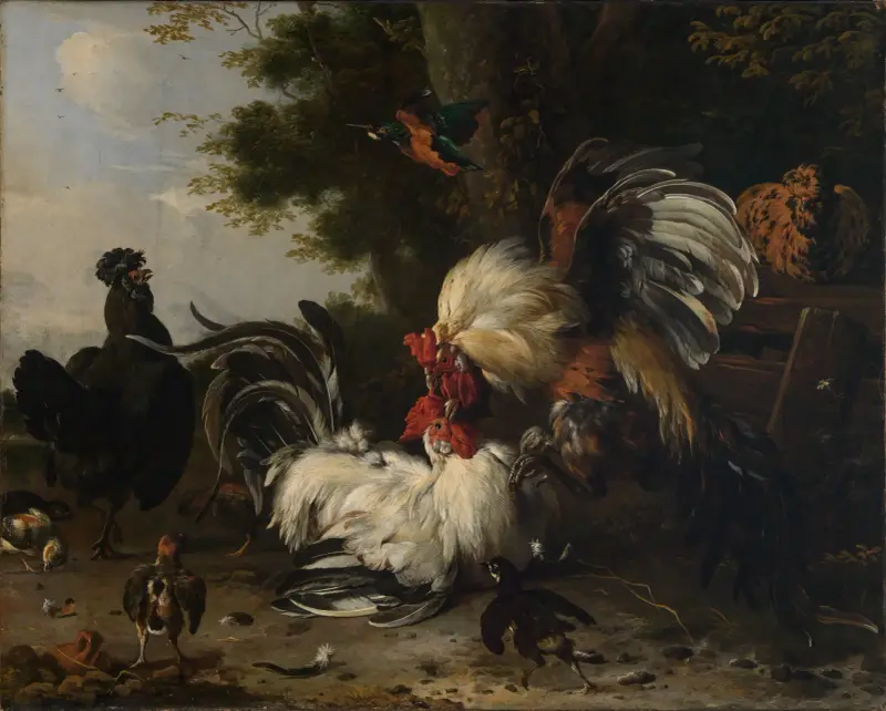 Der Krieg im Hühnerhof av Melchior d'Hondecoeter