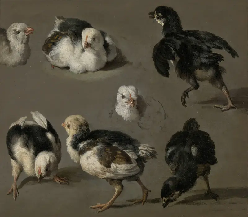 Seven Chicks av Melchior d'Hondecoeter