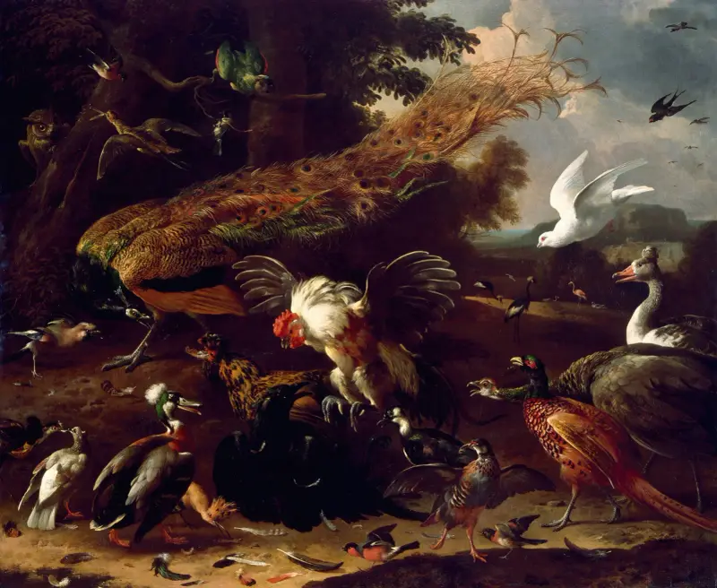 Die entlarvte Krähe von Melchior d'Hondecoeter