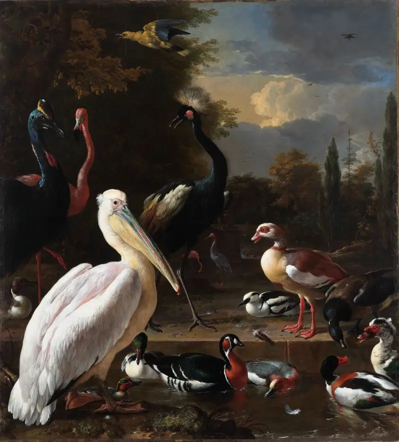 The Floating Feather av Melchior d'Hondecoeter