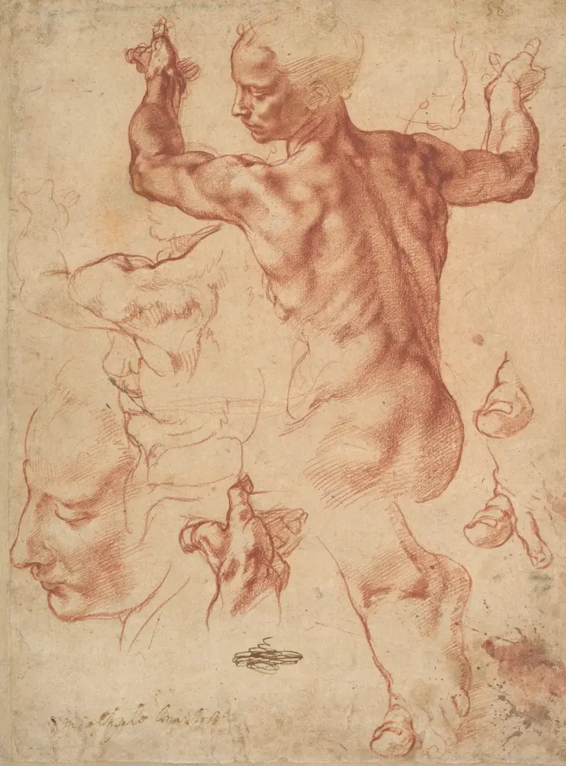 Studier till den libyska sibyllan av Michelangelo