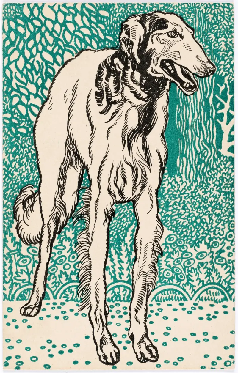 Nr. 677: Windhund (Greyhound) av Moriz Jung
