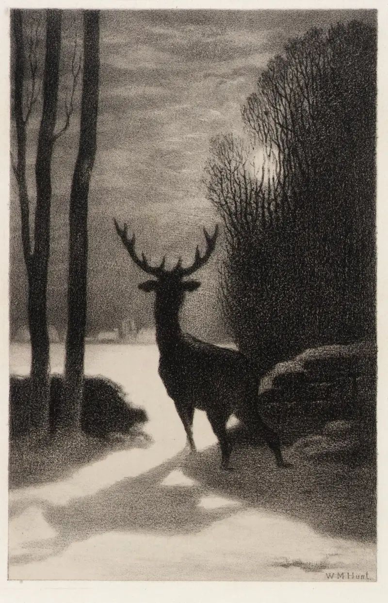 Jelen v měsíčním svitu, William Morris Hunt